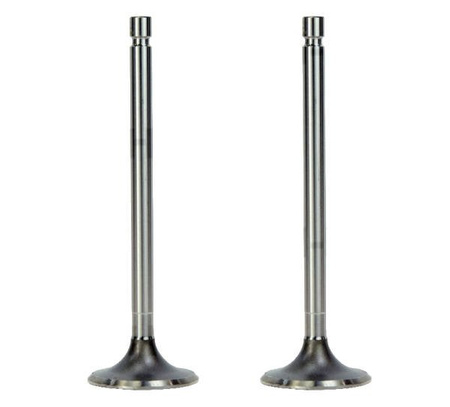 Zawór ssący (2szt.)