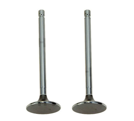 Zawór ssący (2szt.)