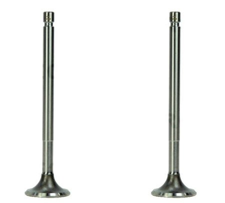 Zawór wydechowy (2szt.)