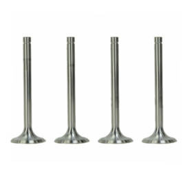 Zawór ssący - opakowanie 4 sztuki