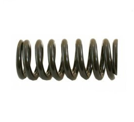 Sprężyna zwrotnicy