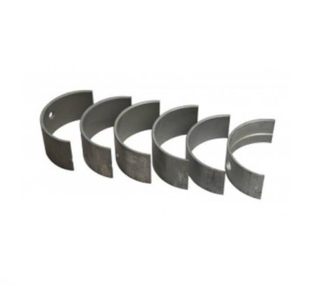 Panewki główne N-0,25 I szlif - Oryginał