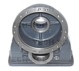 Korpus lewy zwolnicy