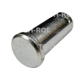 Sworzeń 22x55 cięgna przedniego