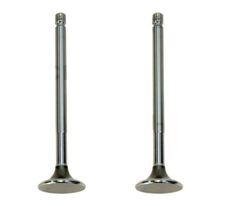 Zawór wydechowy (2szt.)