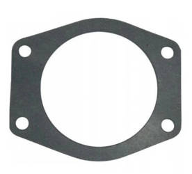 Uszczelka pompy wody