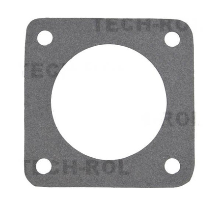 Uszczelka termostatu