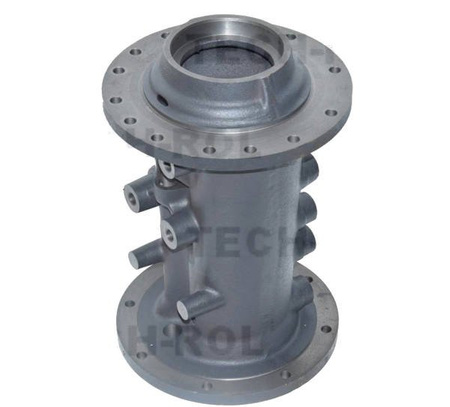 Pochwa zwolnicy prawa