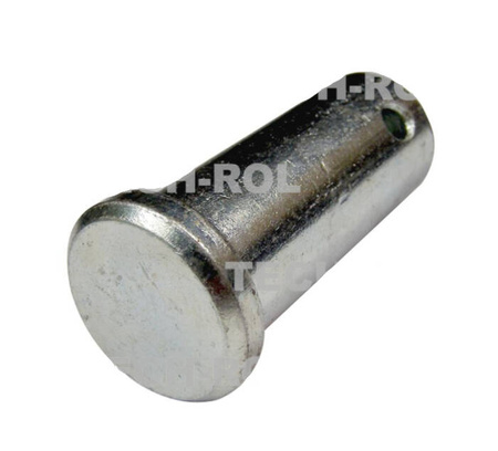 Sworzeń 22x55 cięgna przedniego